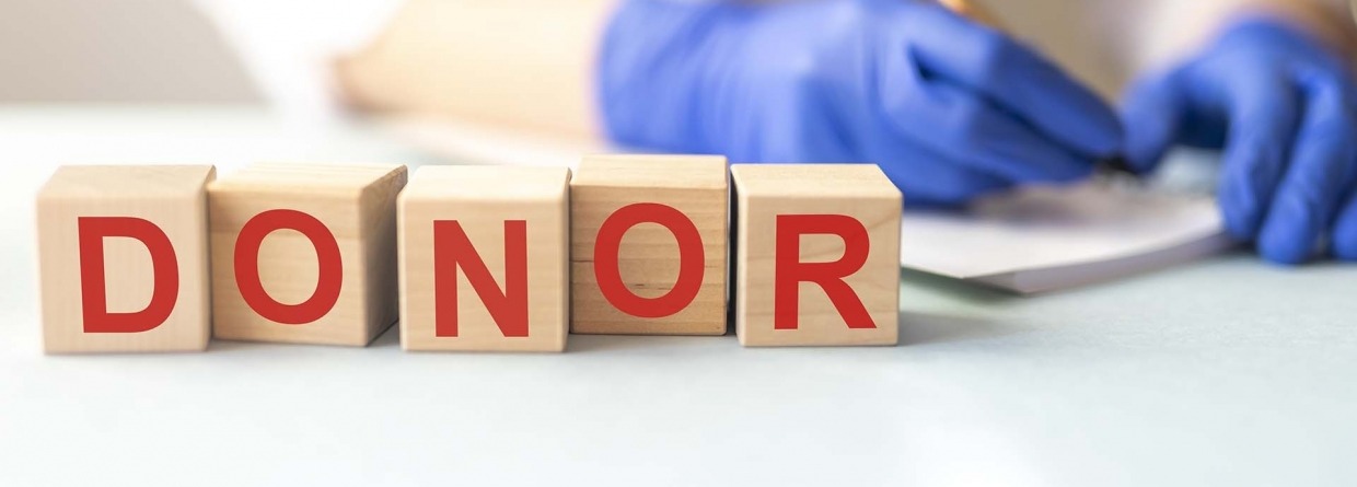 Donor bloed en organen medisch concept op houten kubussen met de handen van een arts op de achtergrond